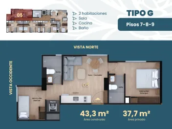 paramo134-tipo-g.webp